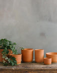 Terracotta Planter by Leaf & Thread - THE PLANT SOCIETY