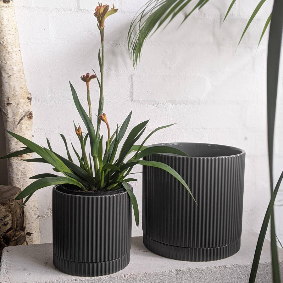 Charcoal Eyre Planter by The Plant Society - THE PLANT SOCIETY