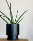 Midi Low Tower Planter by The Plant Society x Capra Designs- Totem Collection - - THE PLANT SOCIETY