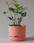 Self Watering Planter 215mm by Mr Kitly - THE PLANT SOCIETY