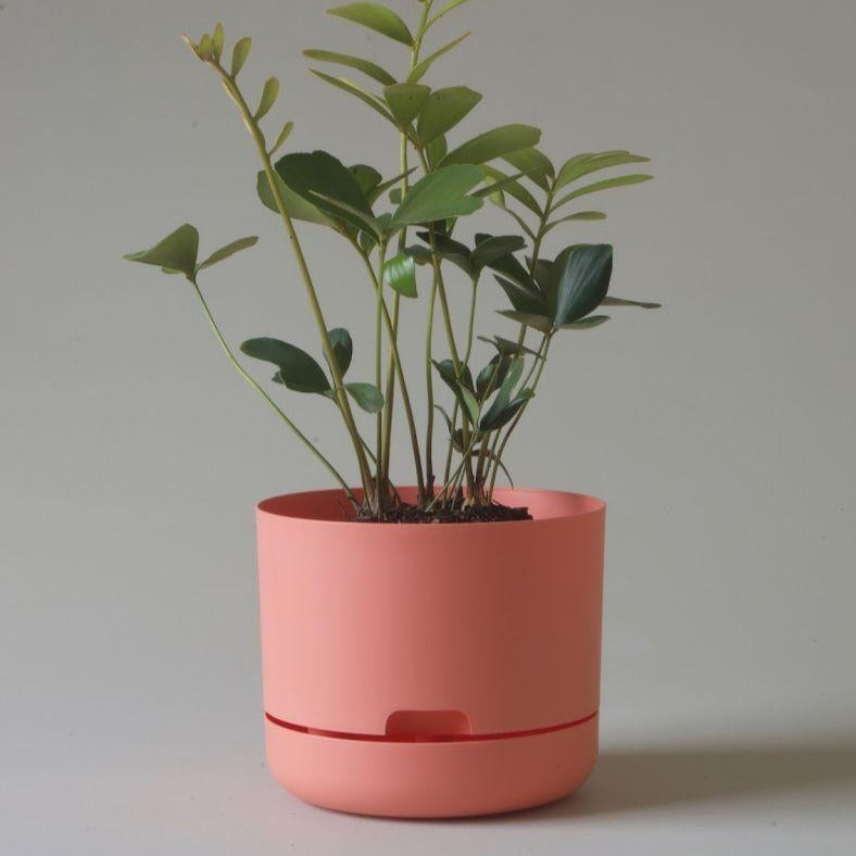 Self Watering Planter 215mm by Mr Kitly - THE PLANT SOCIETY