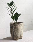 Tall Tripod Planter by Buzzby & Fang