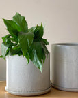 Grey Minimalist Planter by Arcadia Scott