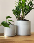 Grey Minimalist Planter by Arcadia Scott