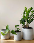 Grey Minimalist Planter by Arcadia Scott