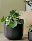Gardeners Planter - Charcoal - THE PLANT SOCIETY