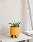 Sledge Planter by The Plant Society x Capra Designs- Totem Collection -