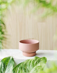 Ochre Collectors Gro Pot by Angus & Celeste - THE PLANT SOCIETY
