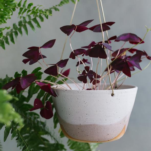 Misty Morning Brass Hanging Planter by Leaf &amp; Thread - THE PLANT SOCIETY