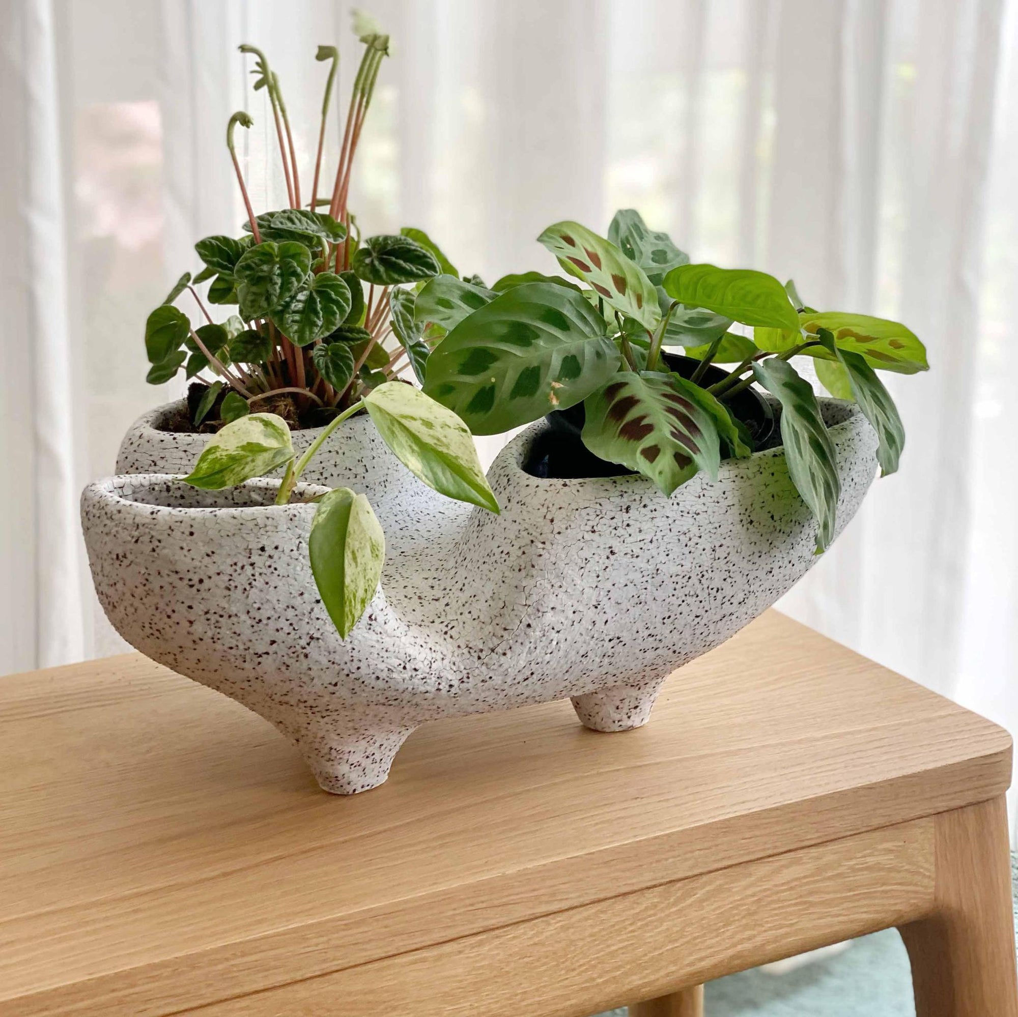 Trifango Planter by Buzzby &amp; Fang