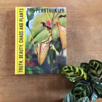 Truth, Beauty, Chaos and Plants By The Plant Hunter - THE PLANT SOCIETY