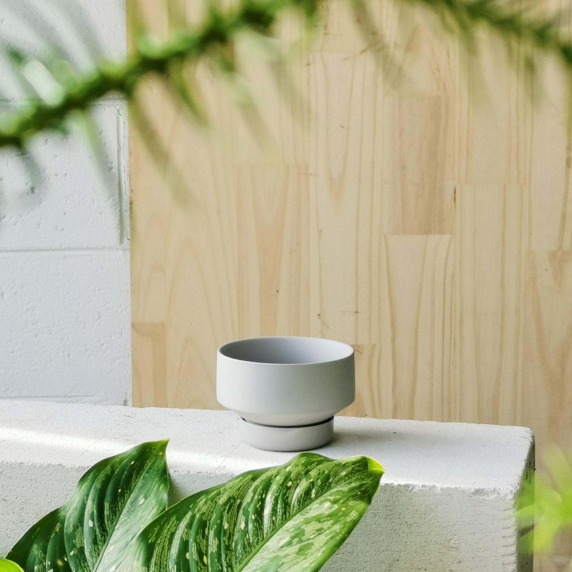 Grey Collectors Gro Pot by Angus & Celeste - THE PLANT SOCIETY