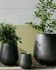 Tear Drop Planter - THE PLANT SOCIETY