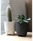 Tall Tripod Planter by Buzzby &amp; Fang - THE PLANT SOCIETY
