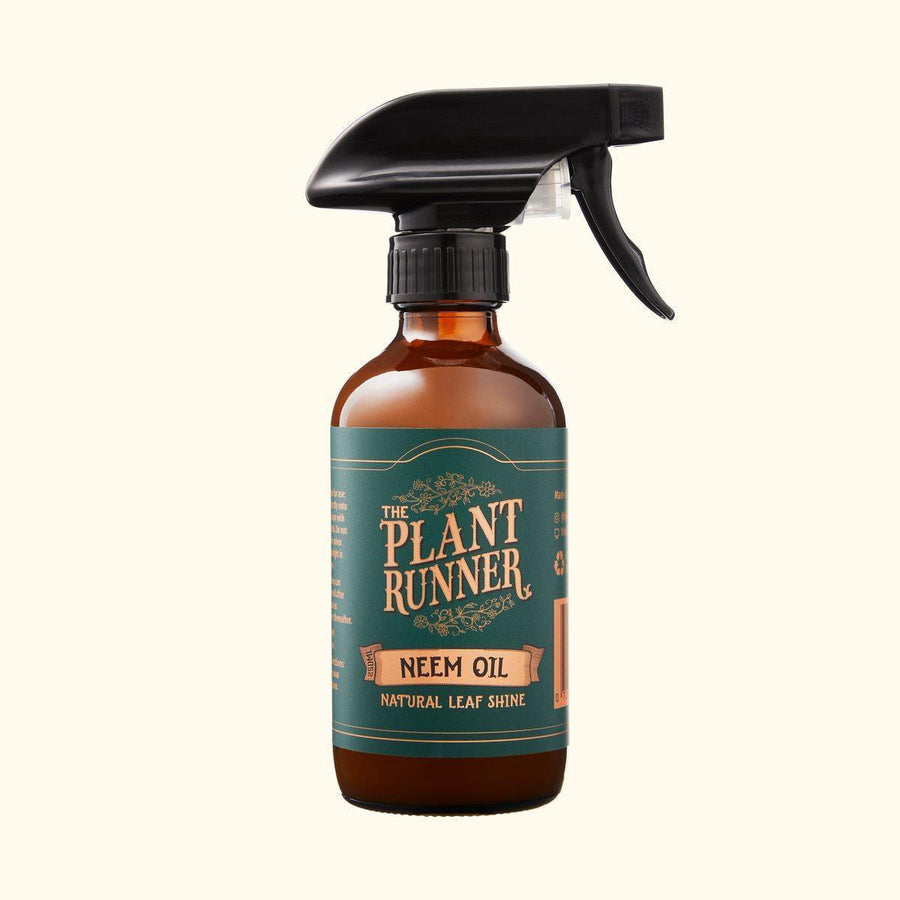 Neem Oil Natural Leaf Shine by Plant Runner - THE PLANT SOCIETY