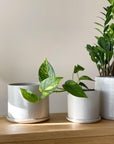 Grey Minimalist Planter by Arcadia Scott