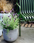 U-Planter - THE PLANT SOCIETY