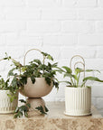 Mini Loop Plant Stake by Ivy Muse - THE PLANT SOCIETY