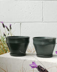 Mini Planter by Alison Frith - THE PLANT SOCIETY