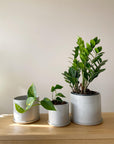 Grey Minimalist Planter by Arcadia Scott