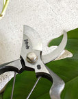 The Plant Society x Toyama Hamono Secateurs - THE PLANT SOCIETY