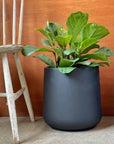 Curved Tapered Planter in Charcoal