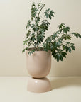 Extra Large Goblet Planter by Lightly