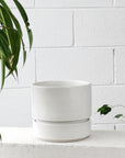 Cora Planter by The Plant Society in Quartz - Matt - THE PLANT SOCIETY