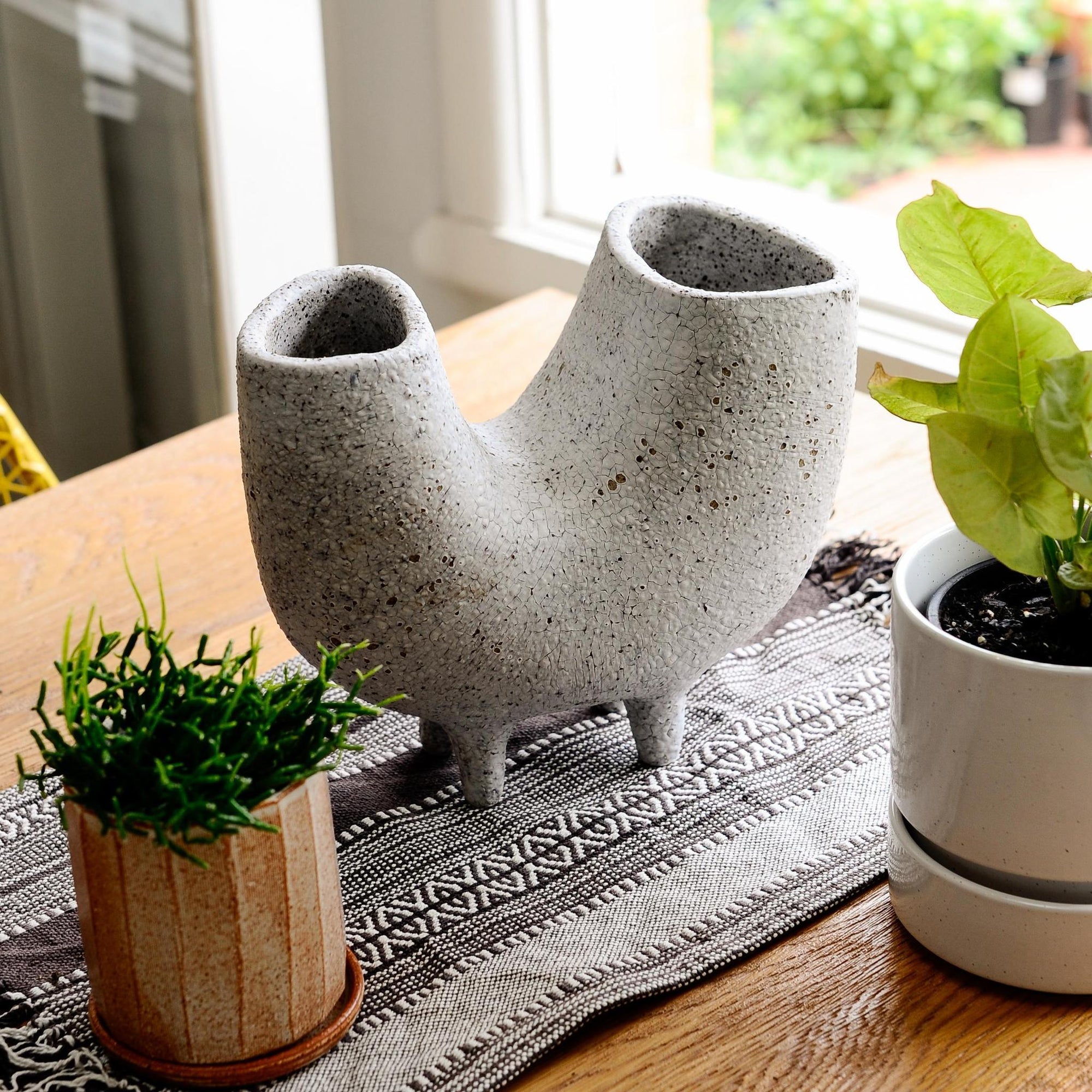 Del Fango Planter by Buzzby &amp; Fang - THE PLANT SOCIETY