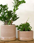 Russet Fluted Planter by Arcadia Scott