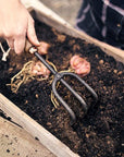 Cultivator Hand Rake in Walnut by Barebones - THE PLANT SOCIETY