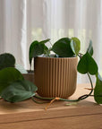 Kamma Flowerpot