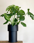 Midi Tall Tower Planter by The Plant Society x Capra Designs- Totem Collection - - THE PLANT SOCIETY