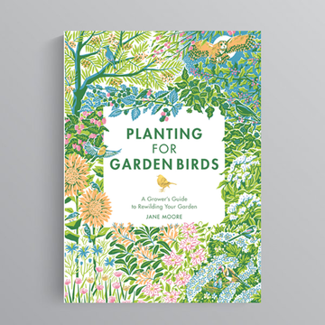 Planting for Garden Birds by Jane Moore