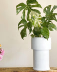 Midi Tall Tower Planter by The Plant Society x Capra Designs- Totem Collection - - THE PLANT SOCIETY
