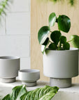 Grey Collectors Gro Pot by Angus & Celeste - THE PLANT SOCIETY