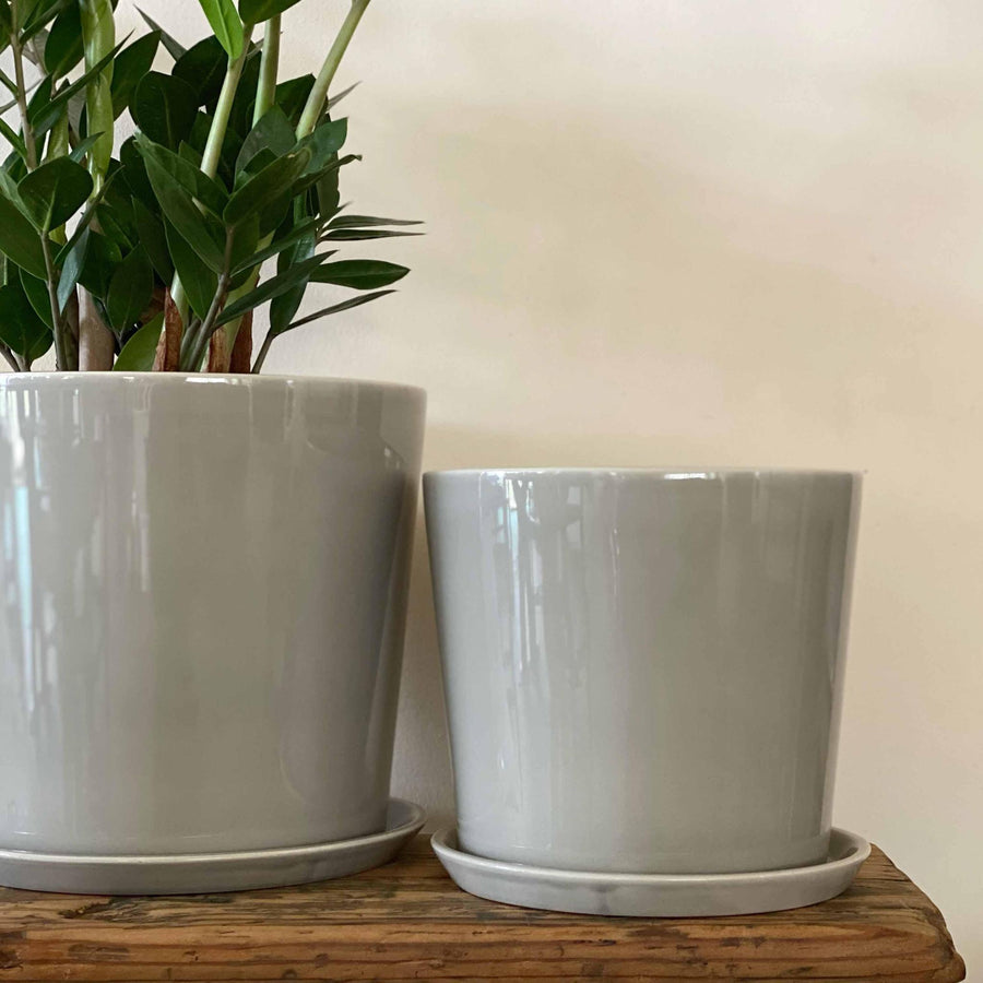 Botanical Family Pot in Light Grey by HAY