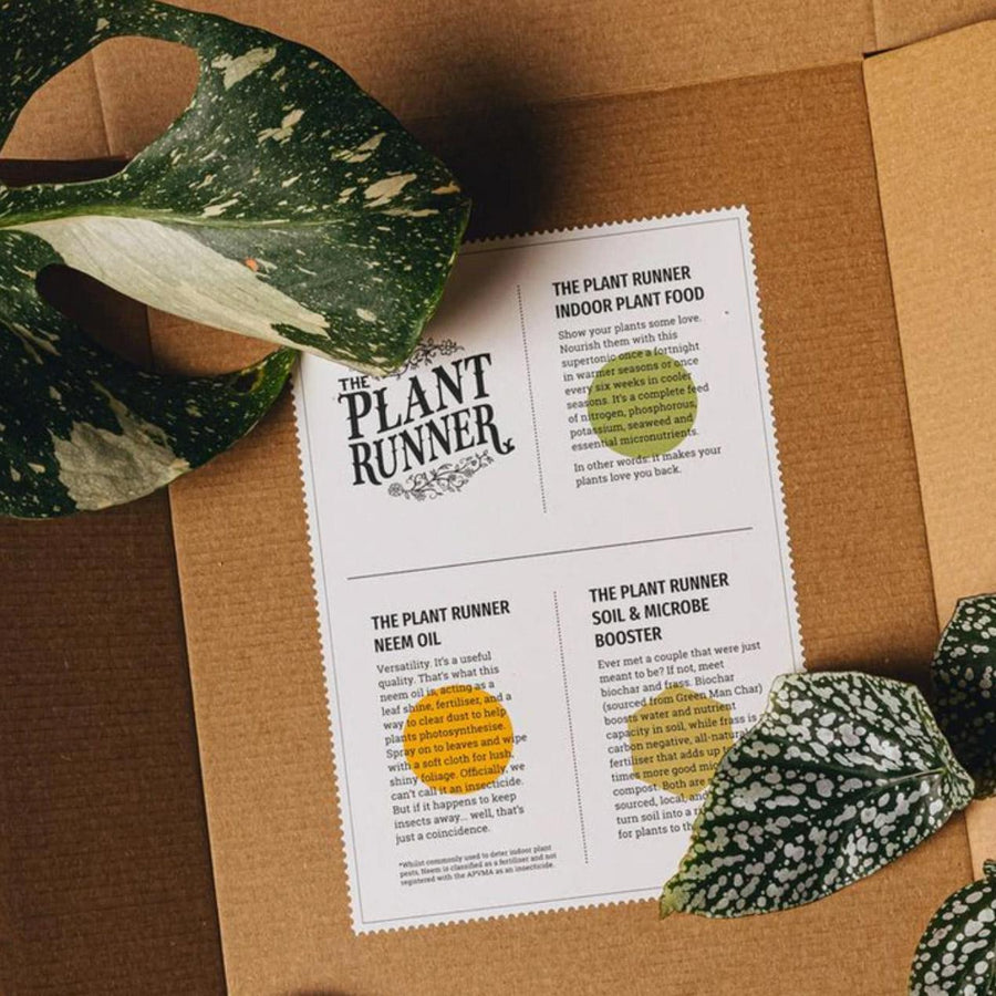 The Plant Runner Booster Kit - THE PLANT SOCIETY