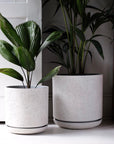 Triko Planter by Papaya - THE PLANT SOCIETY