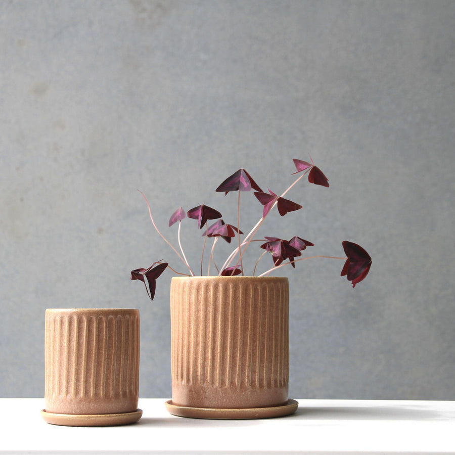 Russet Fluted Planter by Arcadia Scott - THE PLANT SOCIETY