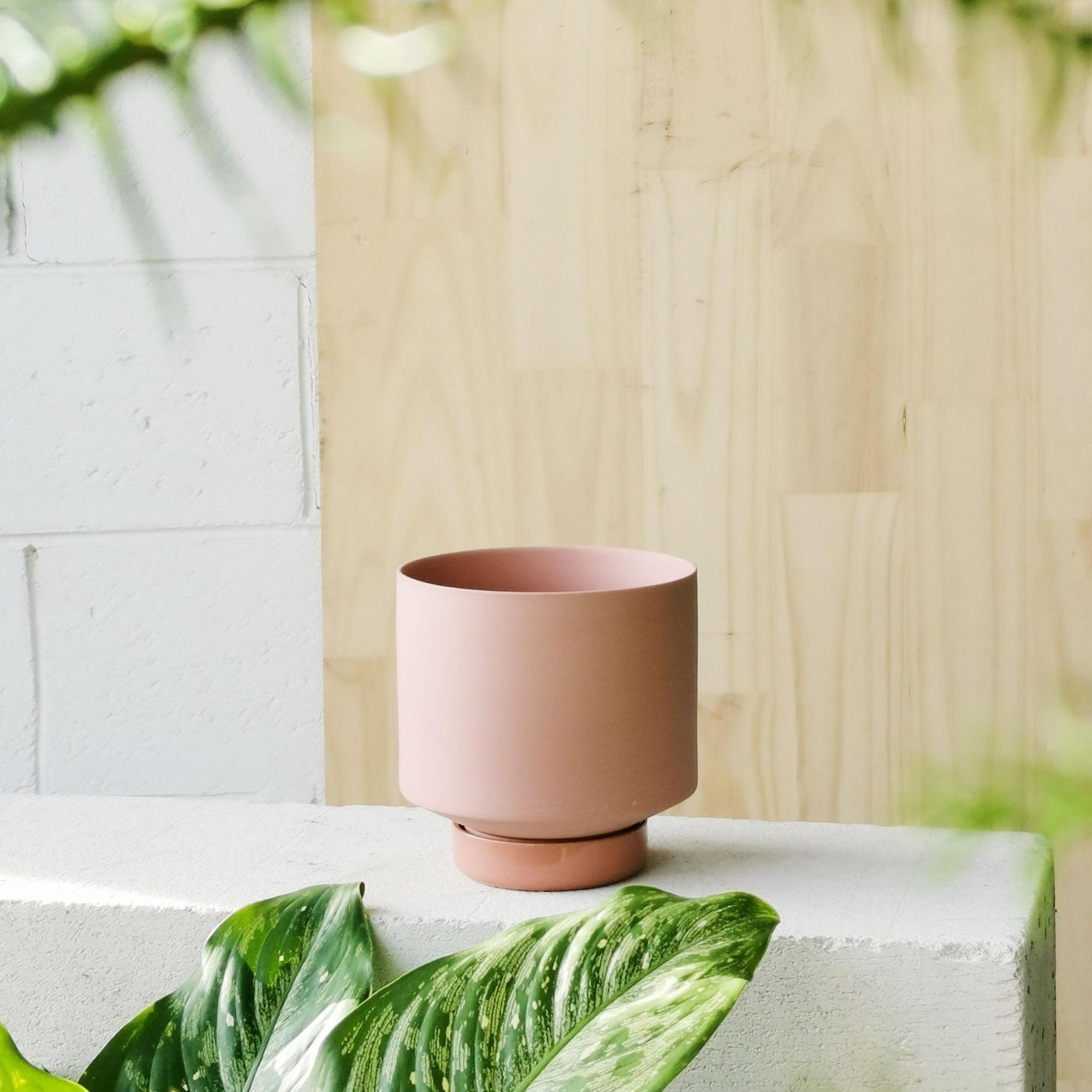Ochre Collectors Gro Pot by Angus &amp; Celeste - THE PLANT SOCIETY