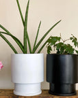 Midi Low Tower Planter by The Plant Society x Capra Designs- Totem Collection - - THE PLANT SOCIETY