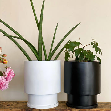 Midi Low Tower Planter by The Plant Society x Capra Designs- Totem Collection - - THE PLANT SOCIETY