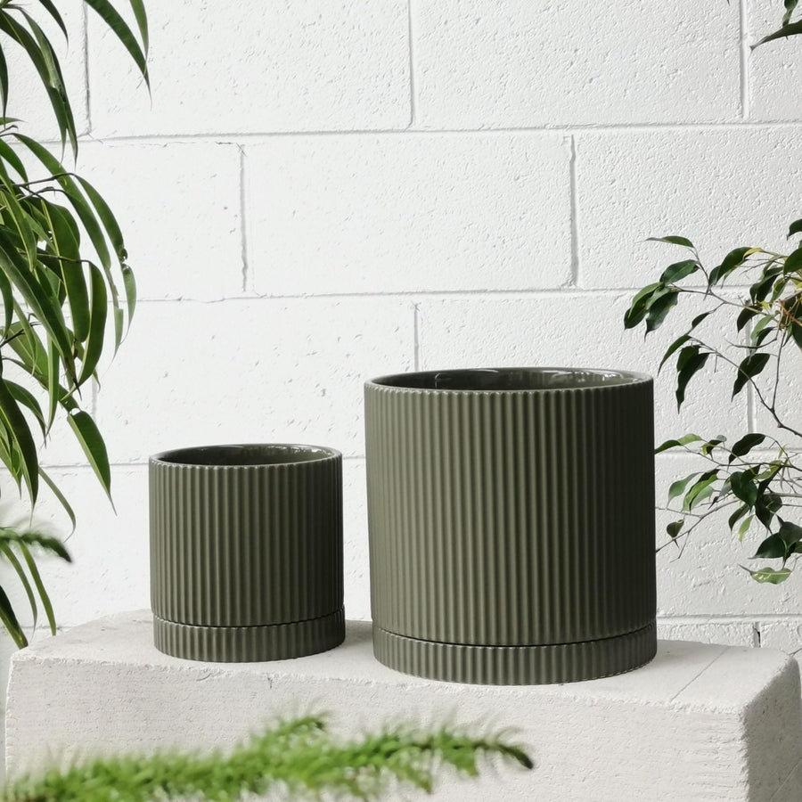 Eucalypt Eyre Planter by The Plant Society - THE PLANT SOCIETY