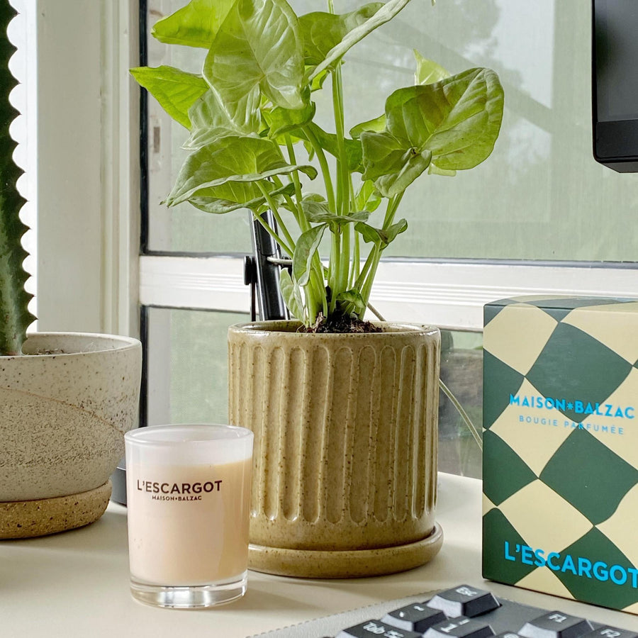 Tailored Corporate gifts - THE PLANT SOCIETY