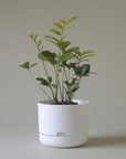 Self Watering Planter 215mm by Mr Kitly - THE PLANT SOCIETY