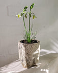 Tall Tripod Planter by Buzzby & Fang