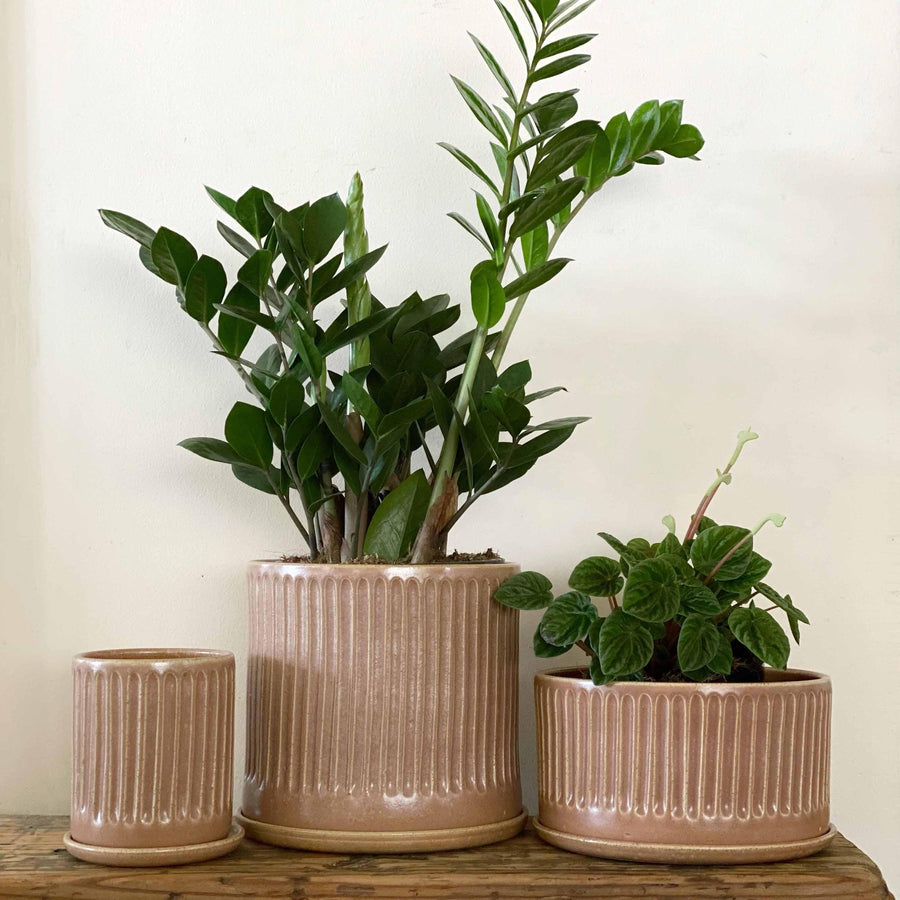 Russet Fluted Planter by Arcadia Scott