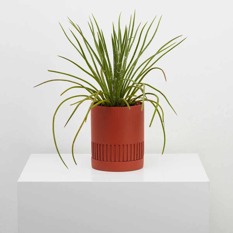 Etch Planter by Capra Designs