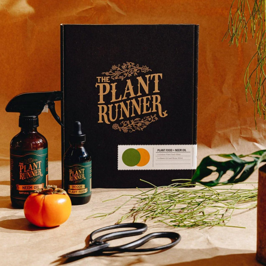 The Plant Runner Essentials Kit - THE PLANT SOCIETY